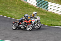 Vintage-motorcycle-club;eventdigitalimages;mallory-park;mallory-park-trackday-photographs;no-limits-trackdays;peter-wileman-photography;trackday-digital-images;trackday-photos;vmcc-festival-1000-bikes-photographs